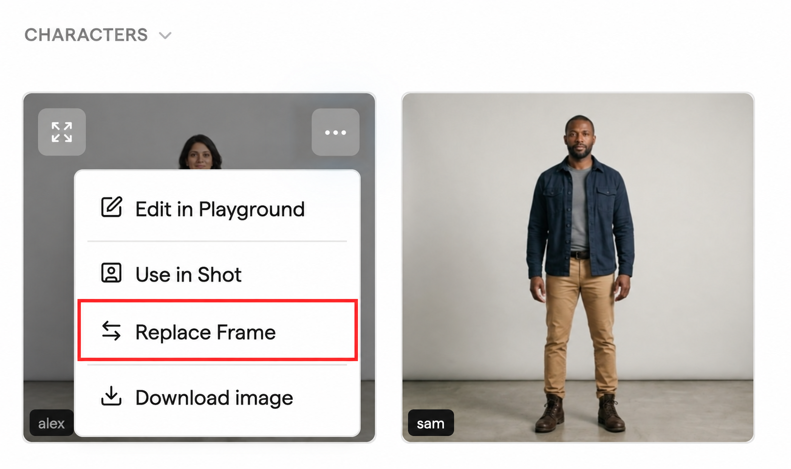 Replace Frame option in an image's menu